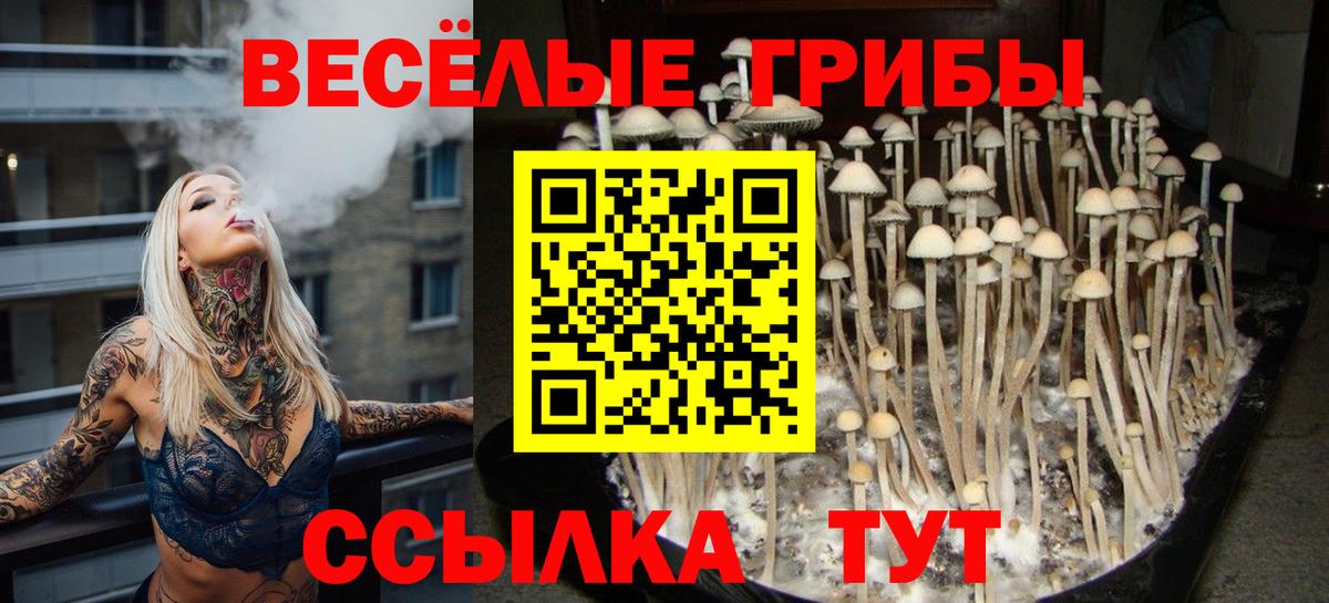 Галлюциногенные грибы GOLDEN TEACHER Рубцовск